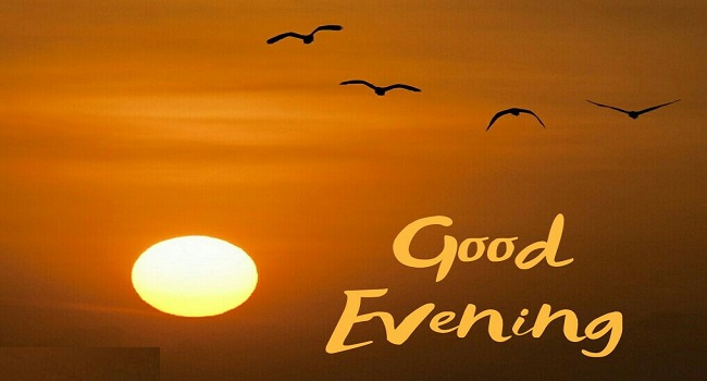 35 Best Good Evening Gif Animated Images For Everyone