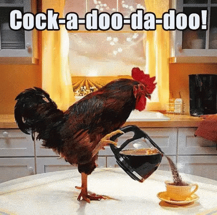{35+} Best Good Morning GIF, Animated Images for Everyone